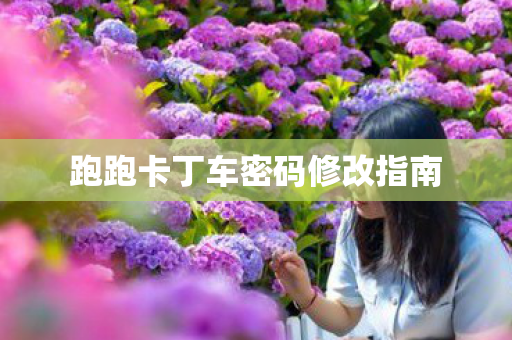 跑跑卡丁车密码修改指南