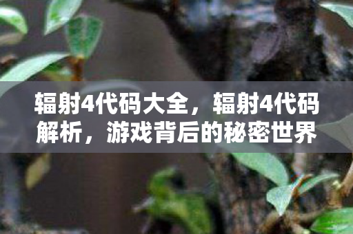 辐射4代码大全，辐射4代码解析，游戏背后的秘密世界