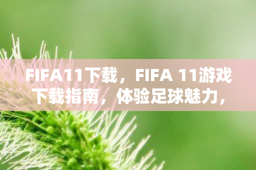 FIFA11下载，FIFA 11游戏下载指南，体验足球魅力，重温经典之作