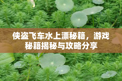 侠盗飞车水上漂秘籍，游戏秘籍揭秘与攻略分享