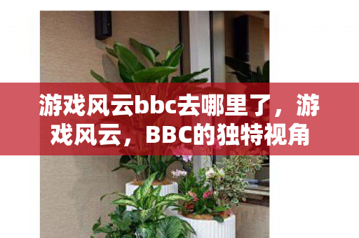 游戏风云bbc去哪里了，游戏风云，BBC的独特视角
