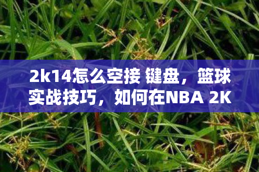 2k14怎么空接 键盘，篮球实战技巧，如何在NBA 2K系列游戏中完美执行空接动作（以NBA 2K14为例）