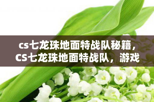 cs七龙珠地面特战队秘籍，CS七龙珠地面特战队，游戏激情与团队合作的完美结合