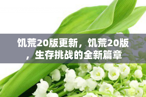 饥荒20版更新，饥荒20版，生存挑战的全新篇章