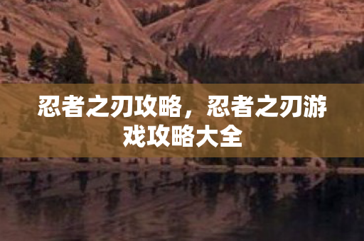 忍者之刃攻略，忍者之刃游戏攻略大全