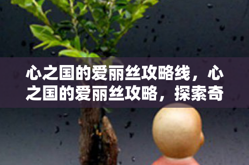 心之国的爱丽丝攻略线，心之国的爱丽丝攻略，探索奇幻世界的秘密