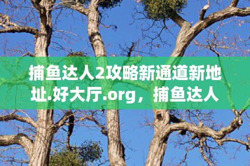 捕鱼达人2攻略新通道新地址.好大厅.org，捕鱼达人2攻略，轻松掌握游戏技巧，成为真正的捕鱼高手！