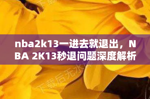 nba2k13一进去就退出，NBA 2K13秒退问题深度解析及解决方案