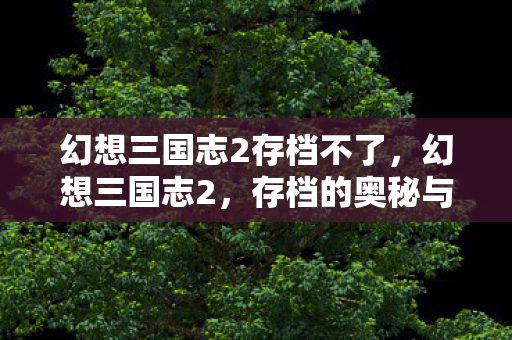 幻想三国志2存档不了，幻想三国志2，存档的奥秘与策略