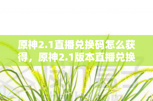 原神2.1直播兑换码怎么获得，原神2.1版本直播兑换码详解