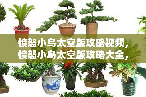 愤怒小鸟太空版攻略视频，愤怒小鸟太空版攻略大全，玩转宇宙关卡