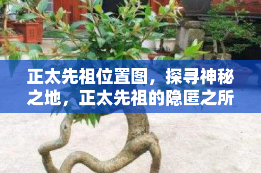 正太先祖位置图，探寻神秘之地，正太先祖的隐匿之所
