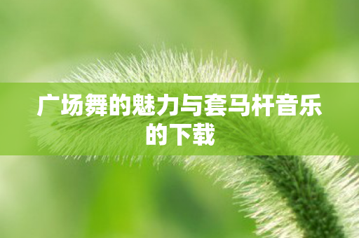 广场舞的魅力与套马杆音乐的下载