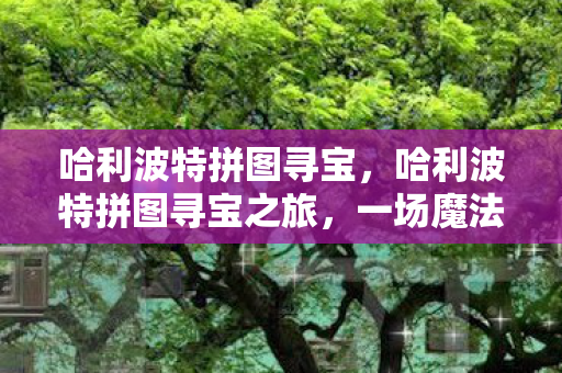 哈利波特拼图寻宝，哈利波特拼图寻宝之旅，一场魔法世界的冒险盛宴（9月24日更新）