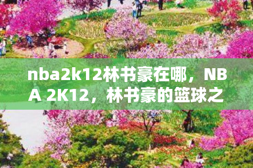 nba2k12林书豪在哪，NBA 2K12，林书豪的篮球之路