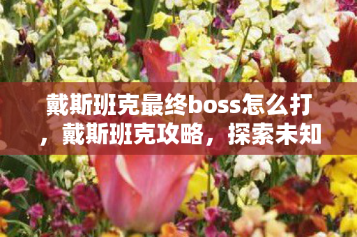 戴斯班克最终boss怎么打，戴斯班克攻略，探索未知的奇幻世界