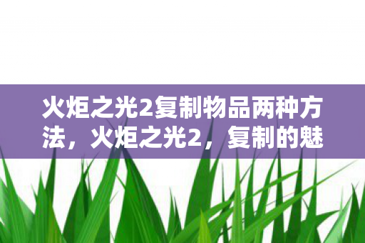 火炬之光2复制物品两种方法，火炬之光2，复制的魅力与挑战
