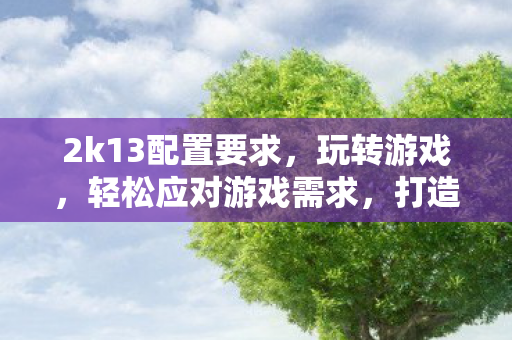 2k13配置要求，玩转游戏，轻松应对游戏需求，打造最佳游戏环境—关于游戏配置的选择与调整