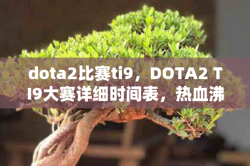 dota2比赛ti9，DOTA2 TI9大赛详细时间表，热血沸腾的电竞盛宴