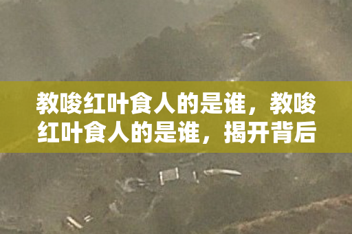 教唆红叶食人的是谁，教唆红叶食人的是谁，揭开背后的真相