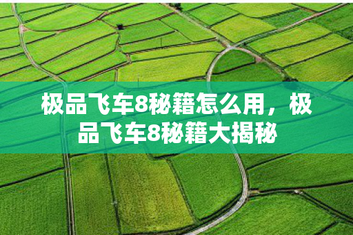 极品飞车8秘籍怎么用，极品飞车8秘籍大揭秘