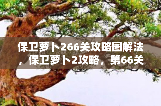 保卫萝卜266关攻略图解法，保卫萝卜2攻略，第66关挑战详解