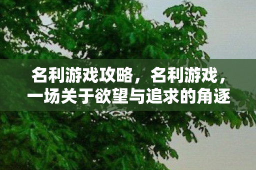 名利游戏攻略，名利游戏，一场关于欲望与追求的角逐