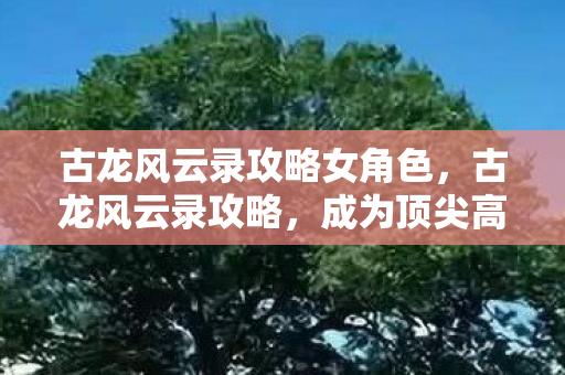 古龙风云录攻略女角色，古龙风云录攻略，成为顶尖高手的秘诀