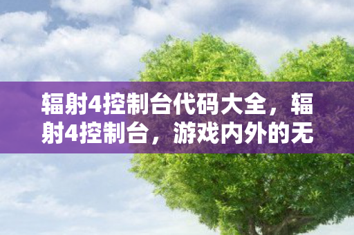 辐射4控制台代码大全，辐射4控制台，游戏内外的无限可能