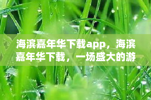 海滨嘉年华下载app，海滨嘉年华下载，一场盛大的游戏盛宴等你来体验