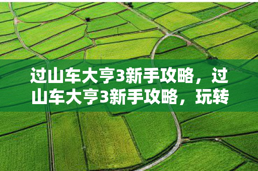 过山车大亨3新手攻略，过山车大亨3新手攻略，玩转乐园建设与管理