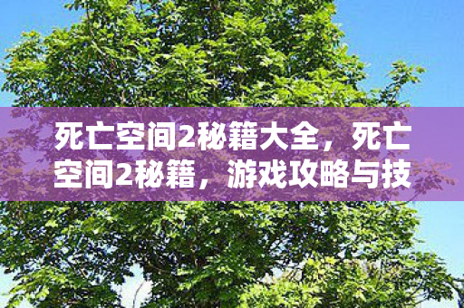 死亡空间2秘籍大全，死亡空间2秘籍，游戏攻略与技巧全解析