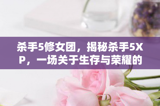 杀手5修女团，揭秘杀手5XP，一场关于生存与荣耀的较量