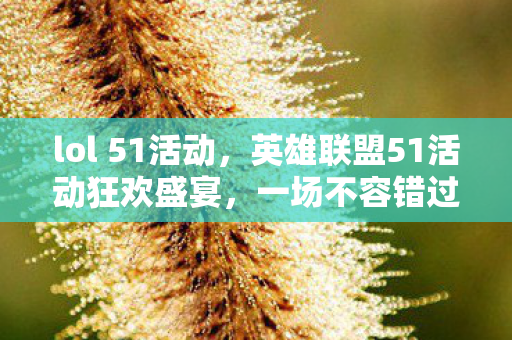 lol 51活动，英雄联盟51活动狂欢盛宴，一场不容错过的电竞盛宴