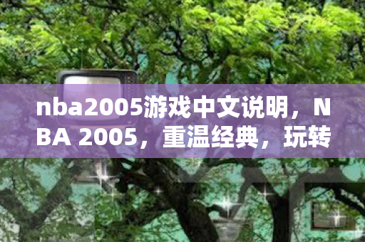 nba2005游戏中文说明，NBA 2005，重温经典，玩转篮球游戏