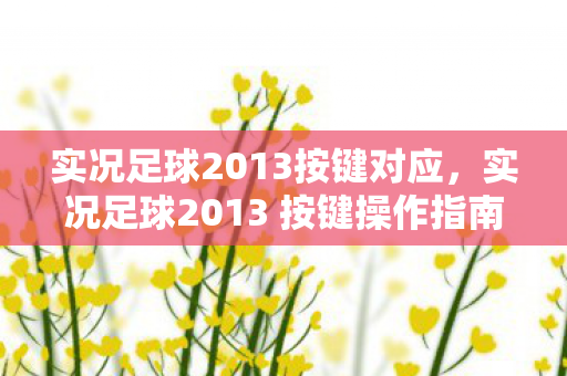 实况足球2013按键对应，实况足球2013 按键操作指南