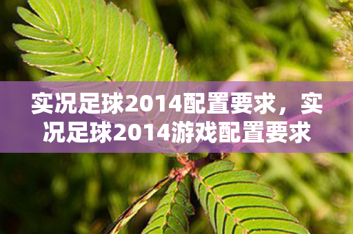 实况足球2014配置要求，实况足球2014游戏配置要求详解