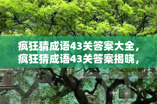 疯狂猜成语43关答案大全，疯狂猜成语43关答案揭晓，探秘背后的智慧与趣味