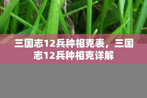 三国志12兵种相克表，三国志12兵种相克详解