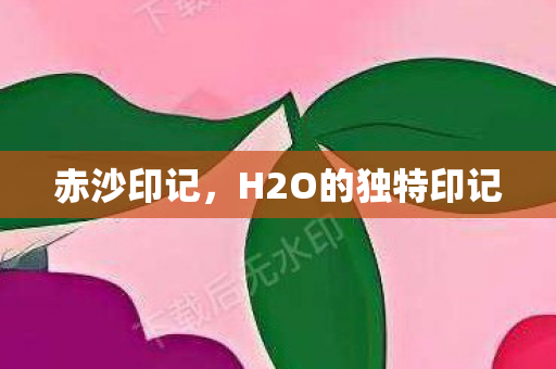 赤沙印记，H2O的独特印记