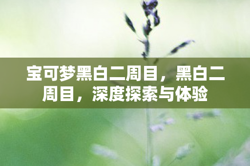 宝可梦黑白二周目，黑白二周目，深度探索与体验