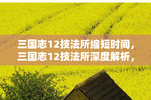 三国志12技法所缩短时间，三国志12技法所深度解析，战略、战术与英雄的综合运用