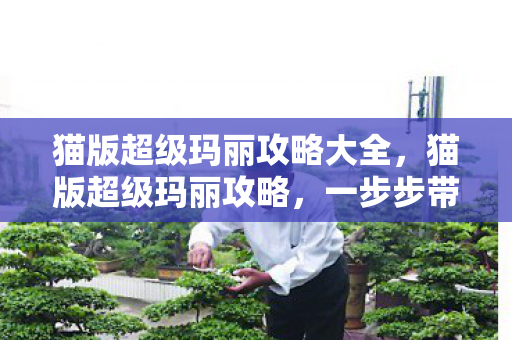 猫版超级玛丽攻略大全，猫版超级玛丽攻略，一步步带你玩转游戏新世界