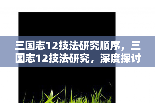 三国志12技法研究顺序，三国志12技法研究，深度探讨游戏策略与战术运用