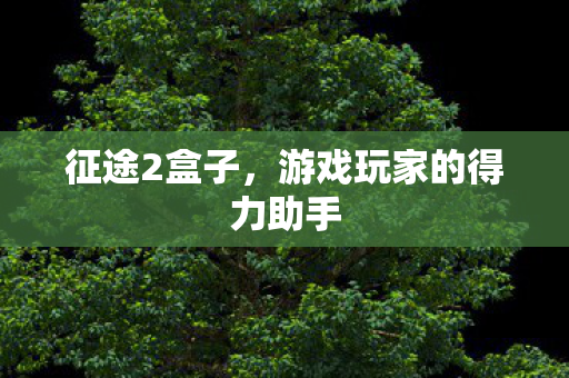 征途2盒子，游戏玩家的得力助手