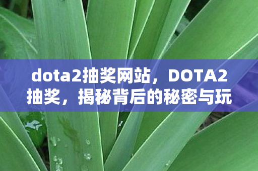 dota2抽奖网站，DOTA2抽奖，揭秘背后的秘密与玩家的期待