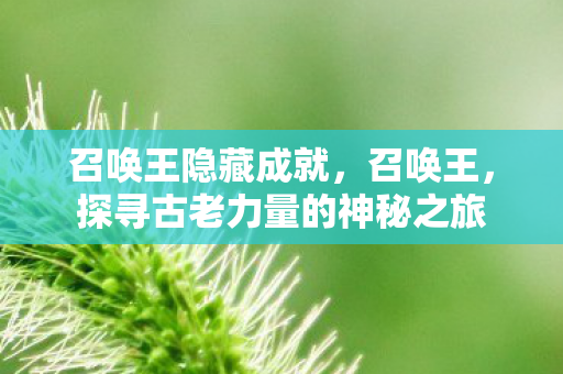 召唤王隐藏成就，召唤王，探寻古老力量的神秘之旅