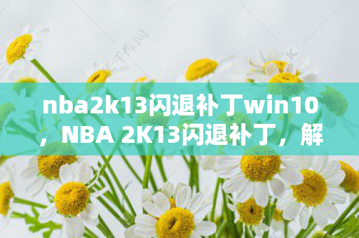 nba2k13闪退补丁win10，NBA 2K13闪退补丁，解决游戏崩溃问题的方法