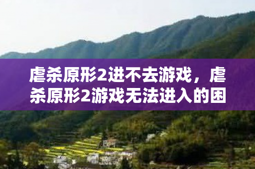 虐杀原形2进不去游戏，虐杀原形2游戏无法进入的困扰与解决方案
