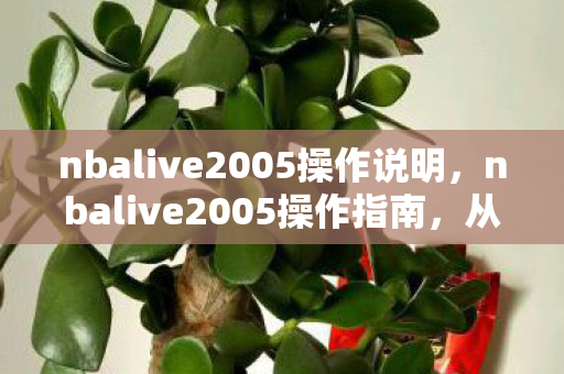 nbalive2005操作说明，nbalive2005操作指南，从新手到高手的全面解析
